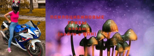 крисы Алзамай