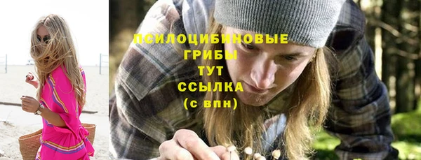 прущие крисы Алексин