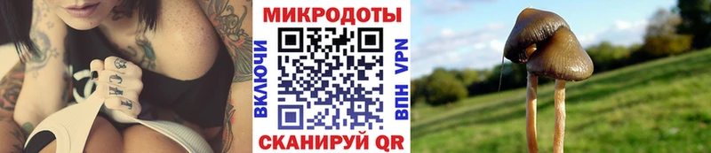 mega маркетплейс  Лаишево  Псилоцибиновые грибы прущие грибы 