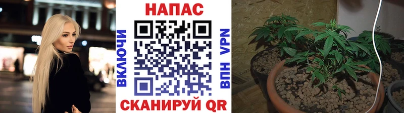 Шишки марихуана тримм Лаишево